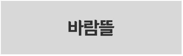 팡팡레저체험스쿨